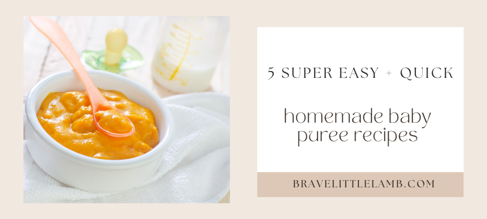 5 Super Easy + Quick Homemade Baby Puree Recipes