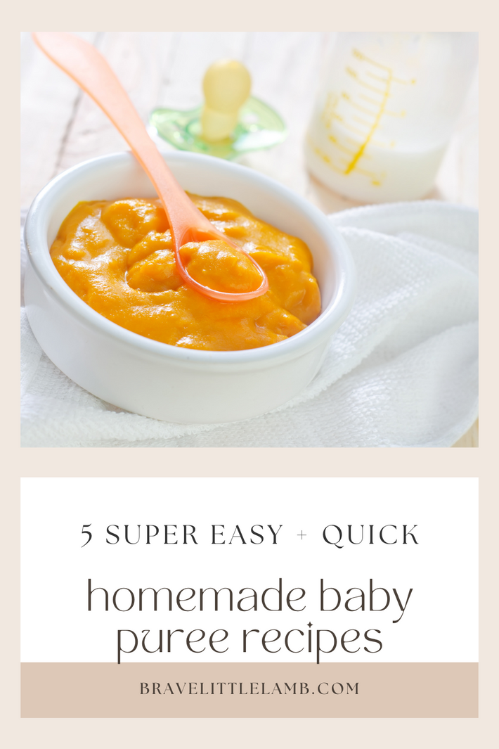 5 Super Easy + Quick Homemade Baby Puree Recipes