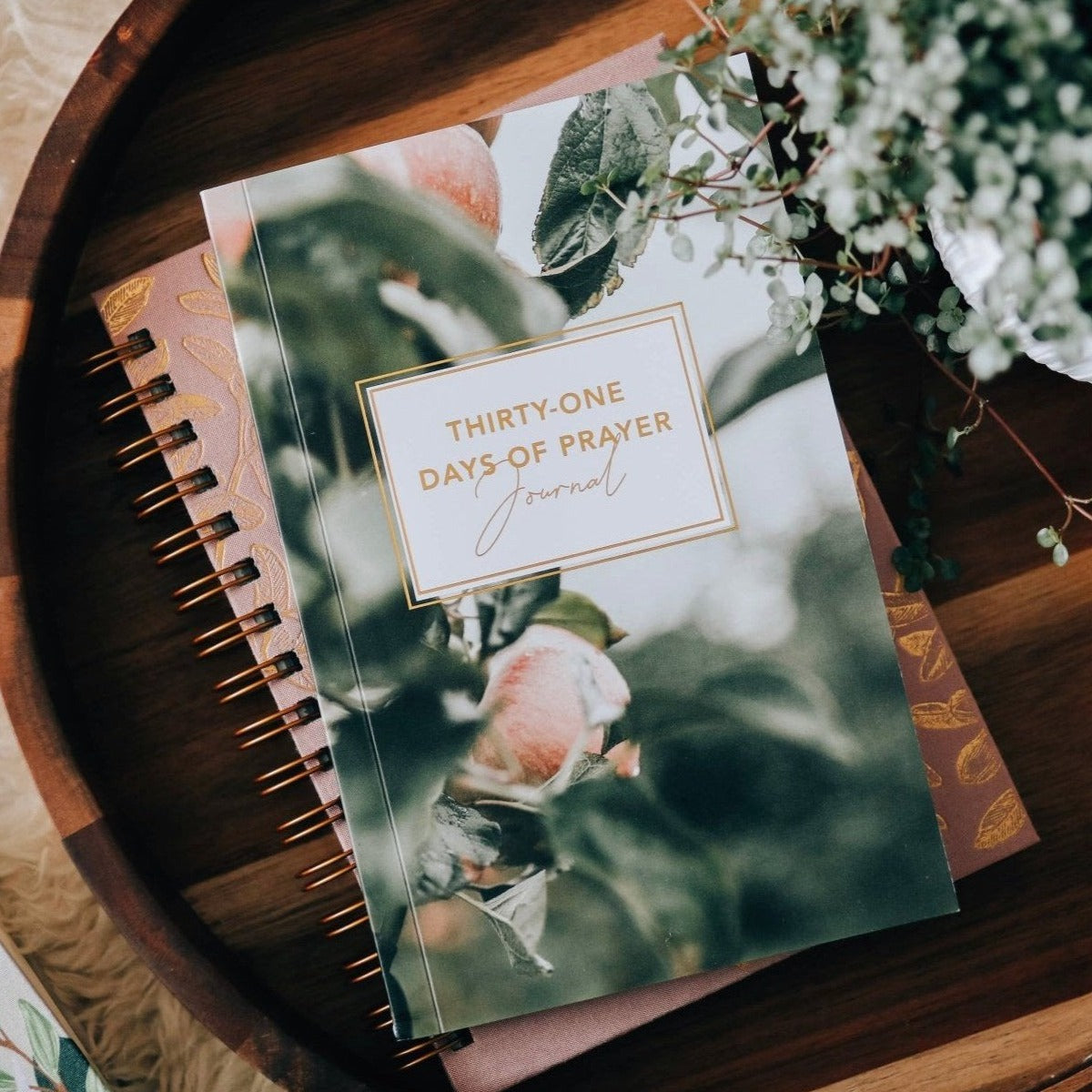 The Daily Grace Co. | 31 Days of Prayer Journal