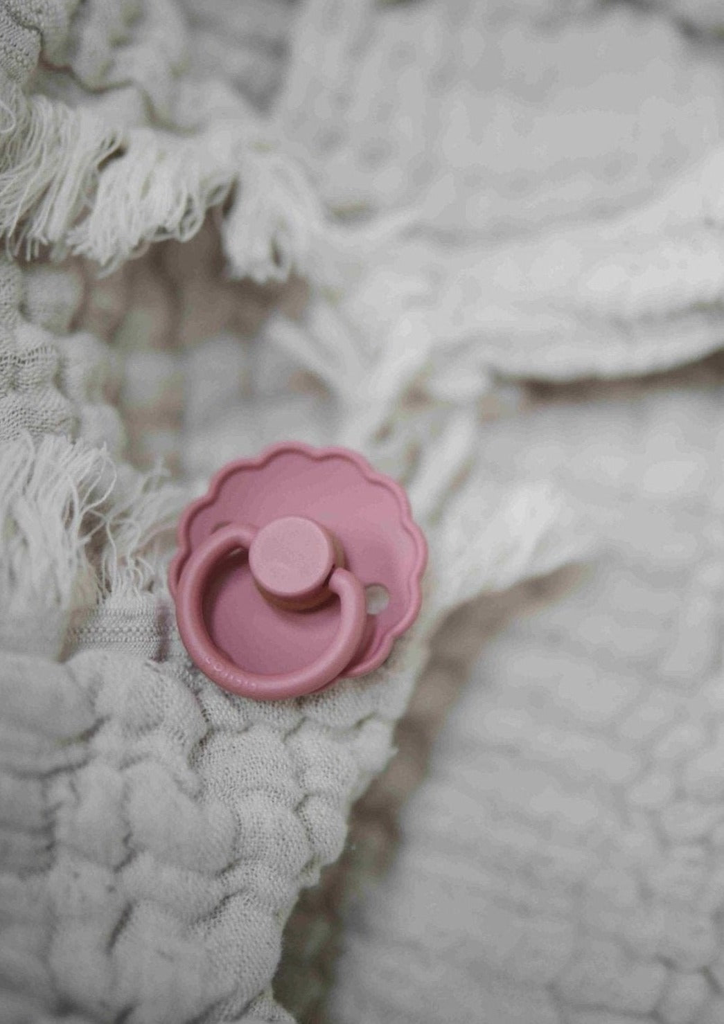 Daisy Pacifier-Powder Blush