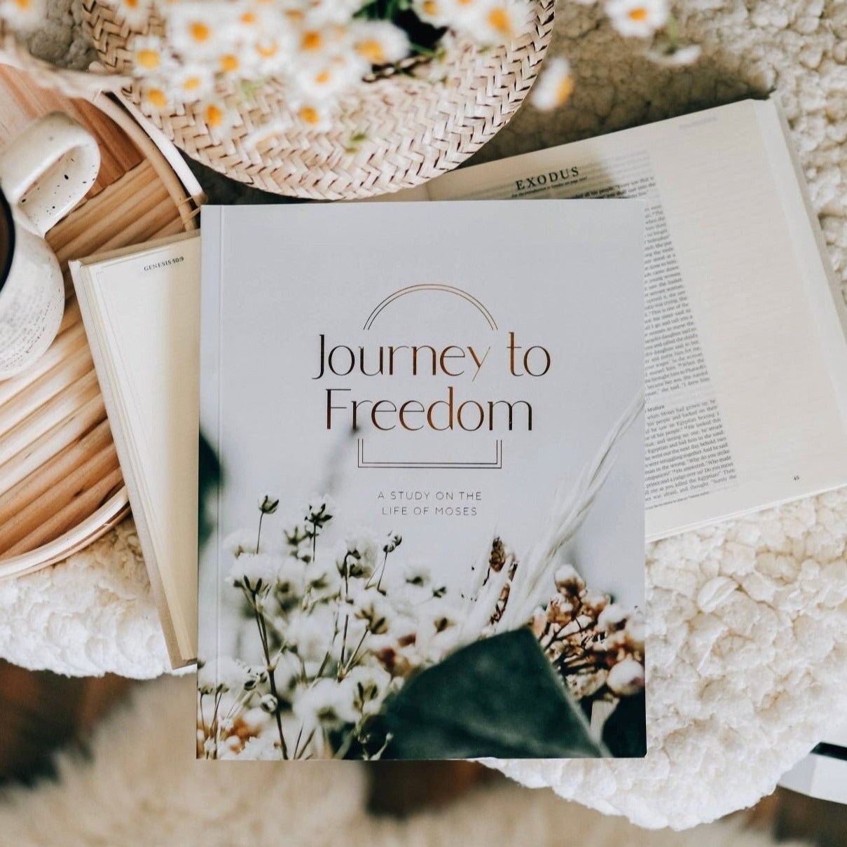 The Daily Grace Co. | Journey to Freedom - The Life of Moses Study