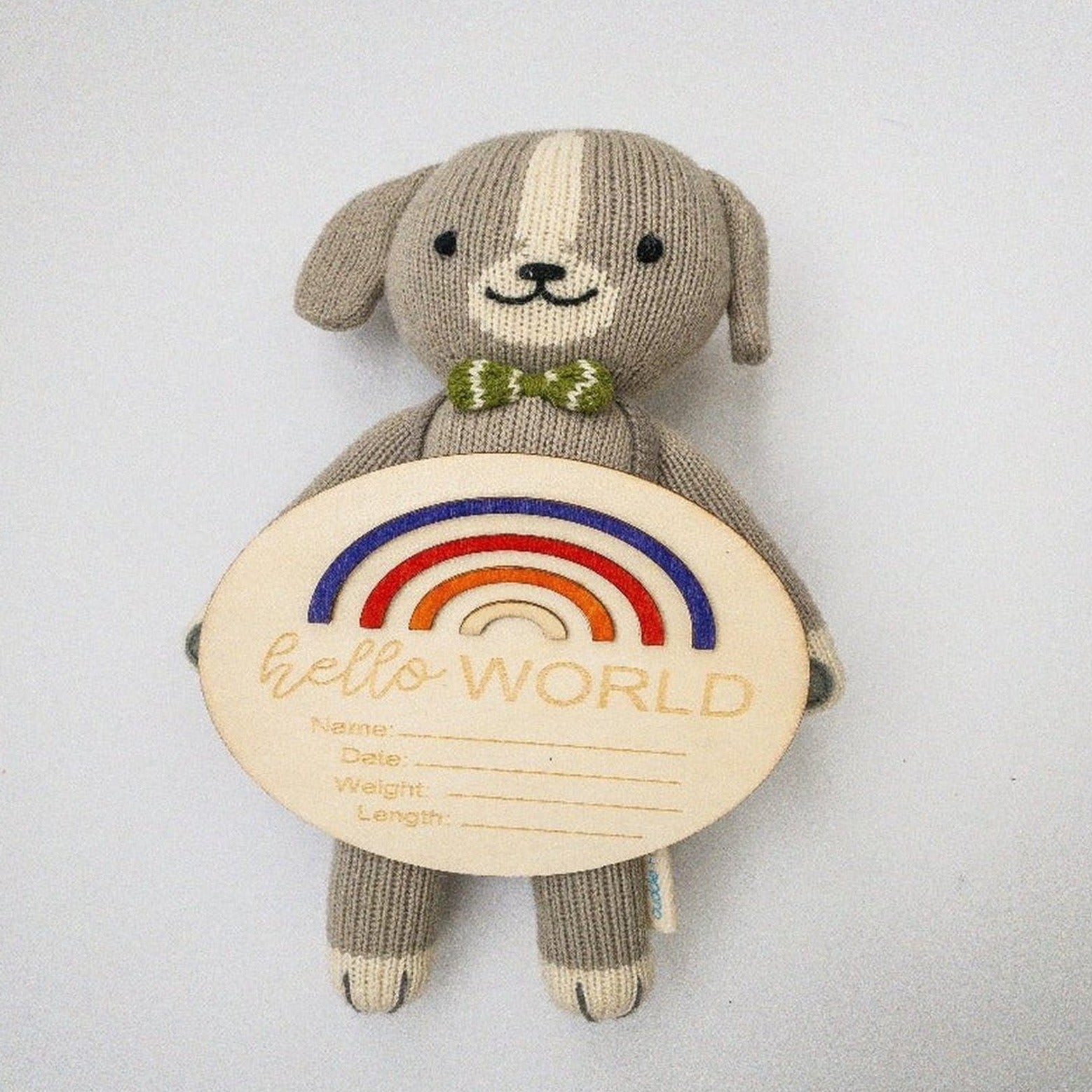 Rainbow Hello World-Birth Announcement Wood Disc
