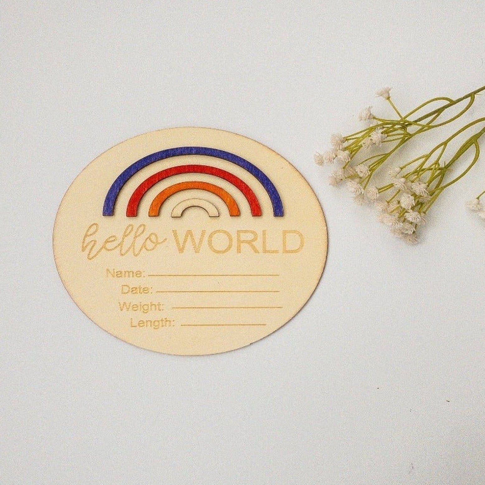 Rainbow Hello World-Birth Announcement Wood Disc